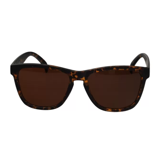 Lipati Rio RapidVue Sunglasses Marrón Cheap