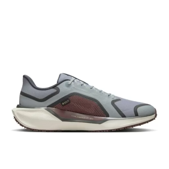 Nike Pegasus 41 Gore-Tex Gris Shop