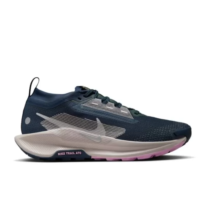 Nike Pegasus Trail 5 Gore-Tex Azul Flash Sale