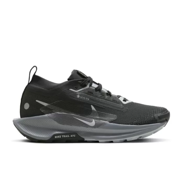 Nike Pegasus Trail 5 Gore-Tex Negro Clearance