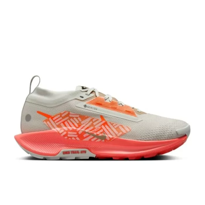 Nike Pegasus Trail 5 Gore-Tex Plata Best Sale