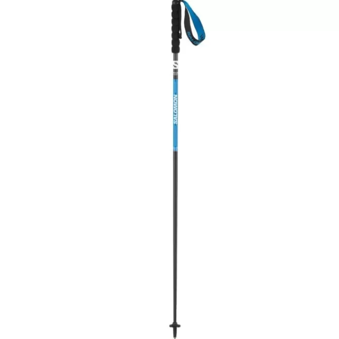 Salomon Pulsar Carbon Poles Negro Flash Sale