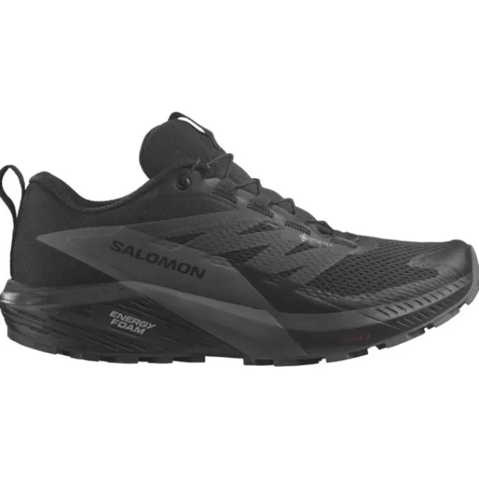 Salomon Sense Ride 5 GTX Negro Clearance