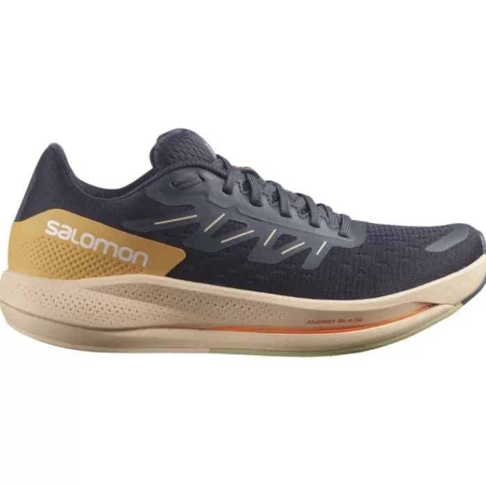 Salomon Spectur Online