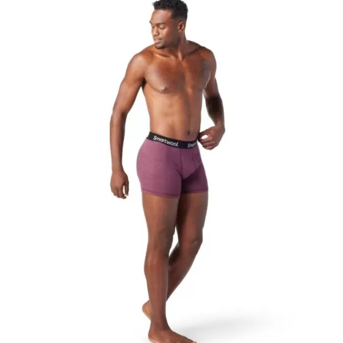 Smartwool Merino Sport Boxer Breif Boxed Morado Online