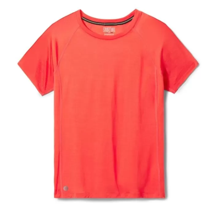 Smartwool Merino Sport Ultralite Short Sleeve Rojo Shop